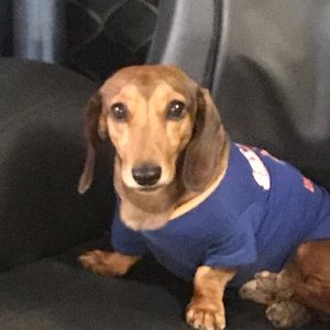 Meet your Posher, Kristi